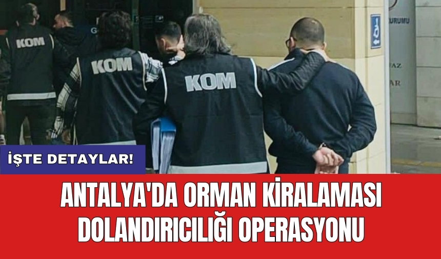 Antalya'da orman kiralaması dolandırıcılığı operasyonu: 2 tutuklama