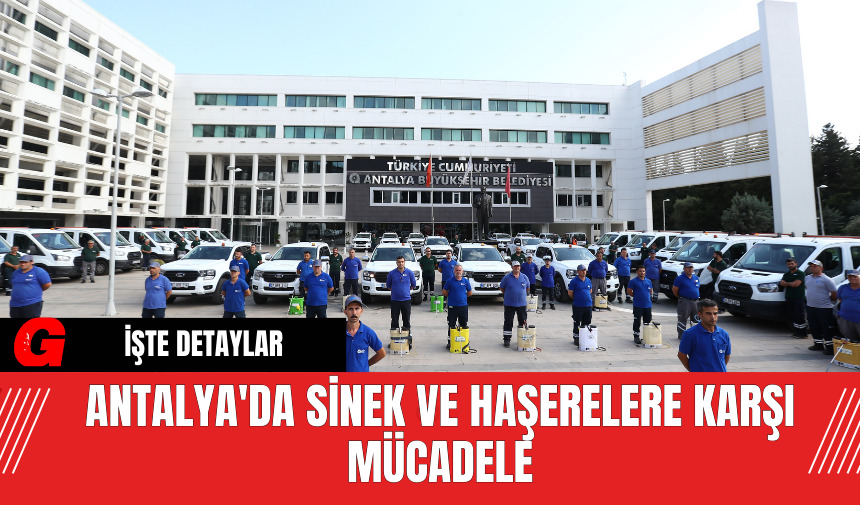 Antalya'da Sinek ve Haşerelere Karşı Mücadele