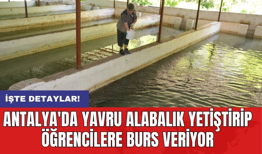 Antalya'da yavru alabalık yetiştirip öğrencilere burs veriyor