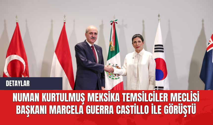 Numan Kurtulmuş Meksika Temsilciler Meclisi Başkanı Marcela Guerra Castillo ile Görüştü