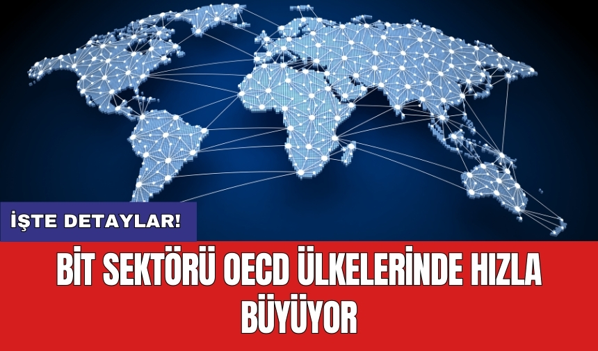 BİT Sektörü OECD Ülkelerinde Hızla Büyüyor