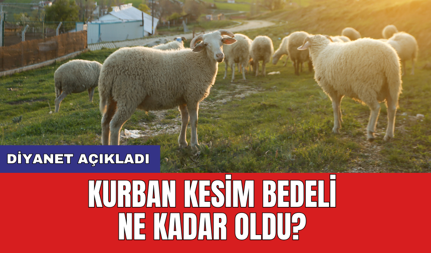 Diyanet açıkladı: Kurban kesim bedeli ne kadar oldu?