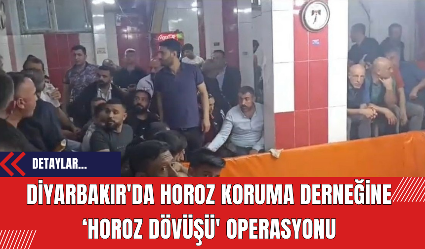 Diyarbakır'da Horoz Koruma Derneğine ‘Horoz Dövüşü' operasyonu