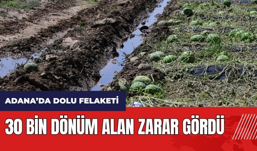 Dolu felaketi! Adana'da 30 bin dönüm alan zarar gördü