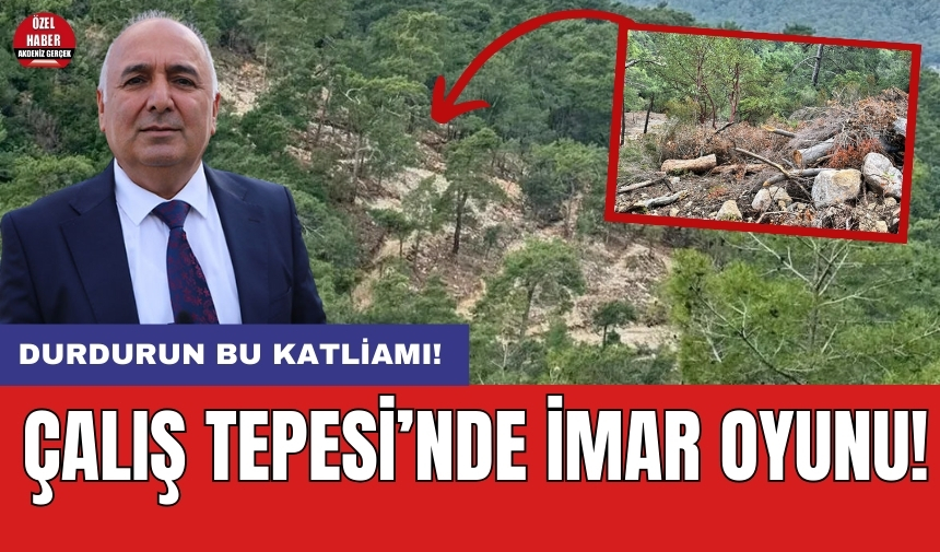 Durdurun bu katliamı! Çalış Tepesi’nde imar oyunu!