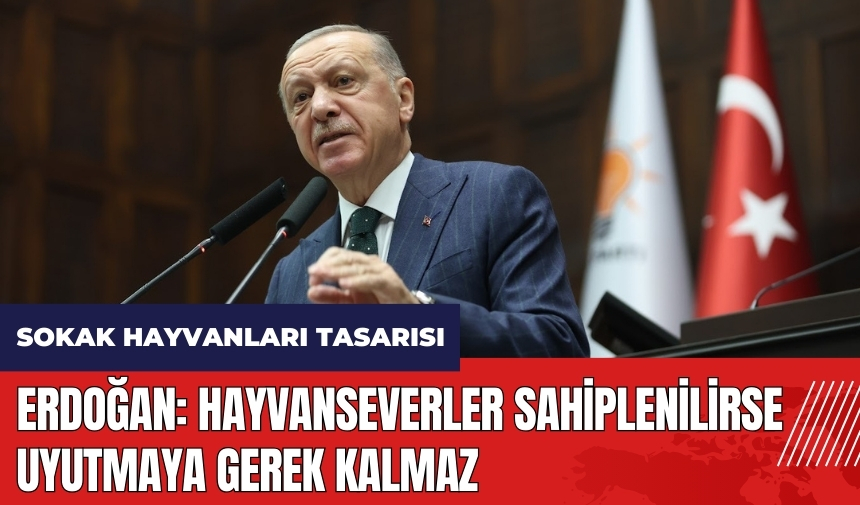 Erdoğan: Hayvanseverler sahiplenilirse uyutmaya gerek kalmaz