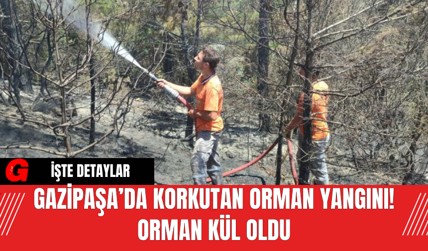 Gazipaşa’da Korkutan Orman Yangını! Orman Kül Oldu