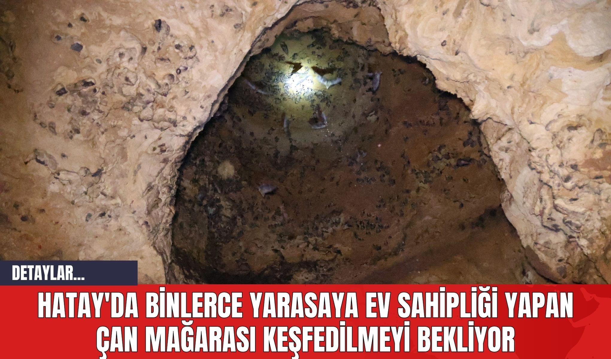 Hatay'da Binlerce Yarasaya Ev Sahipliği Yapan Çan Mağarası Keşfedilmeyi Bekliyor