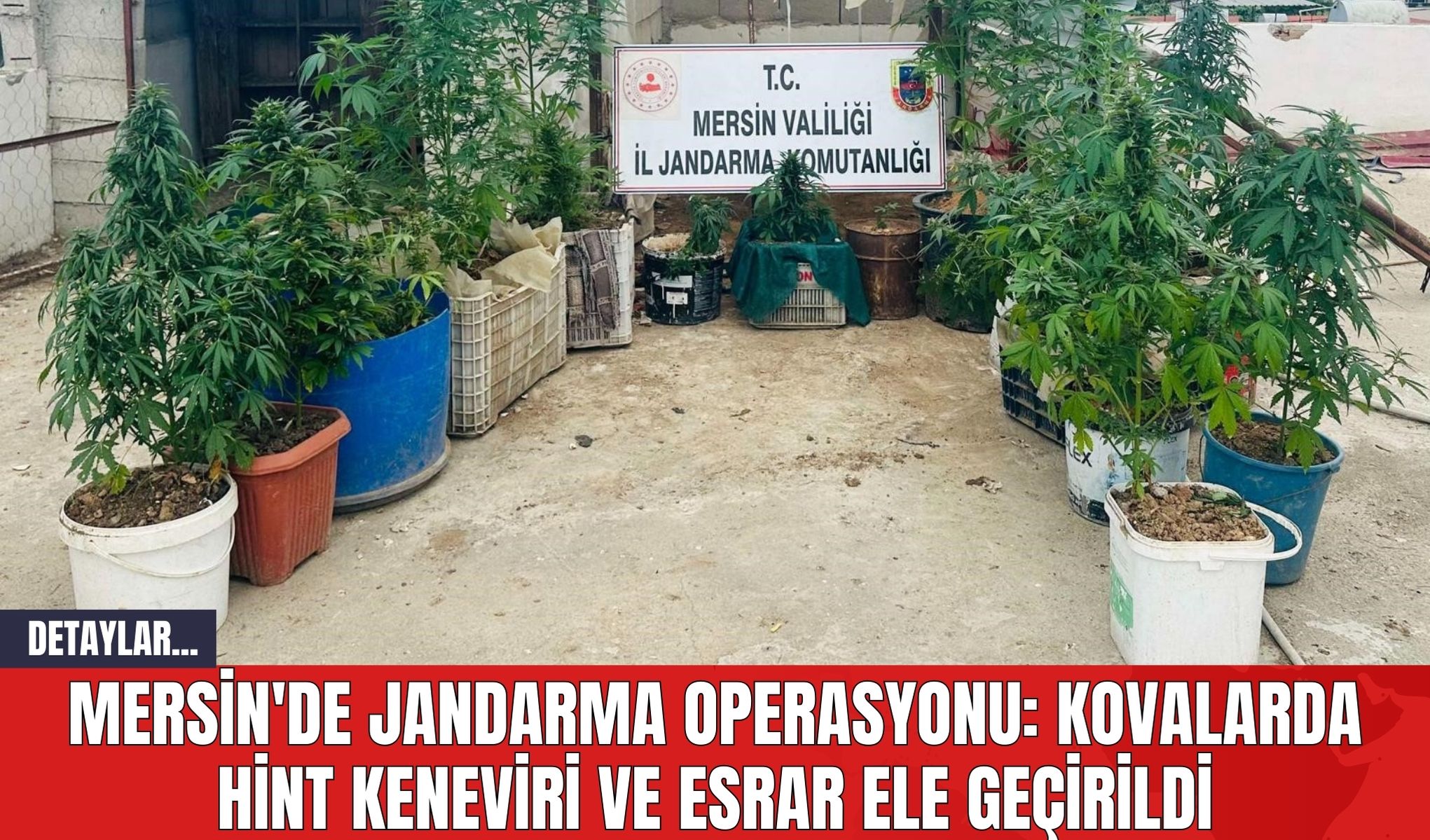 Mersin'de Jandarma Operasyonu: Kovalarda Hint Ken*viri ve E*rar Ele Geçirildi