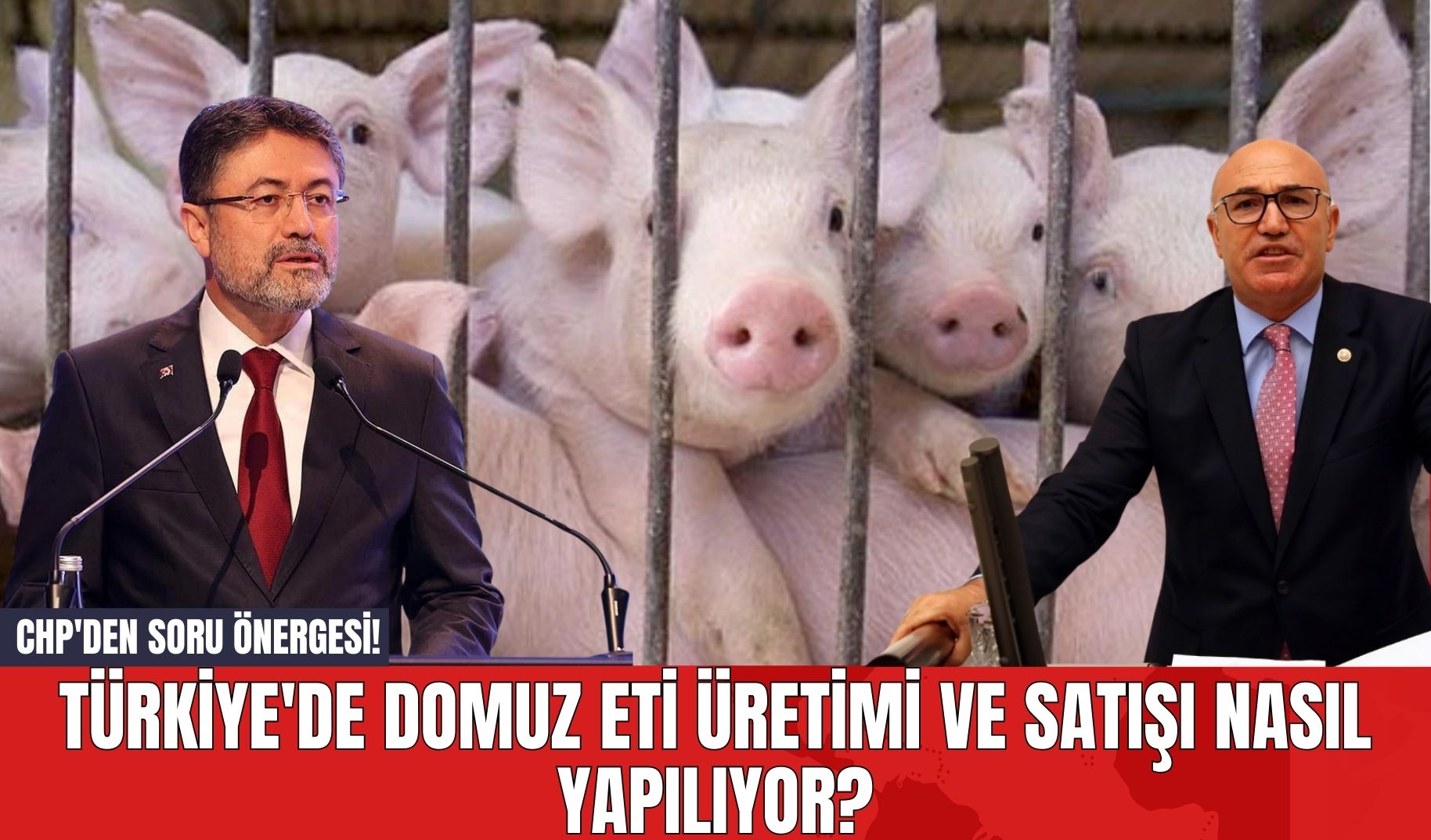 CHP'den Soru Önergesi! Türkiye'de Domuz Eti Üretimi ve Satışı Nasıl Yapılıyor?