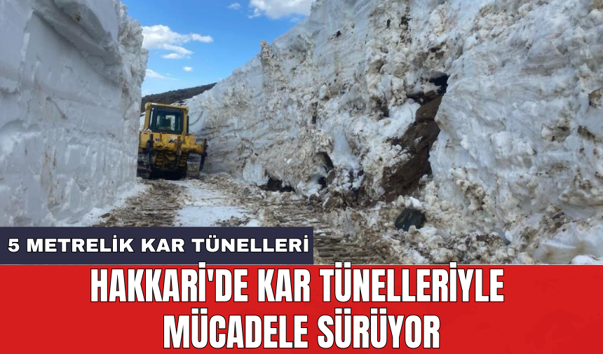 Hakkari'de kar tünelleriyle mücadele sürüyor