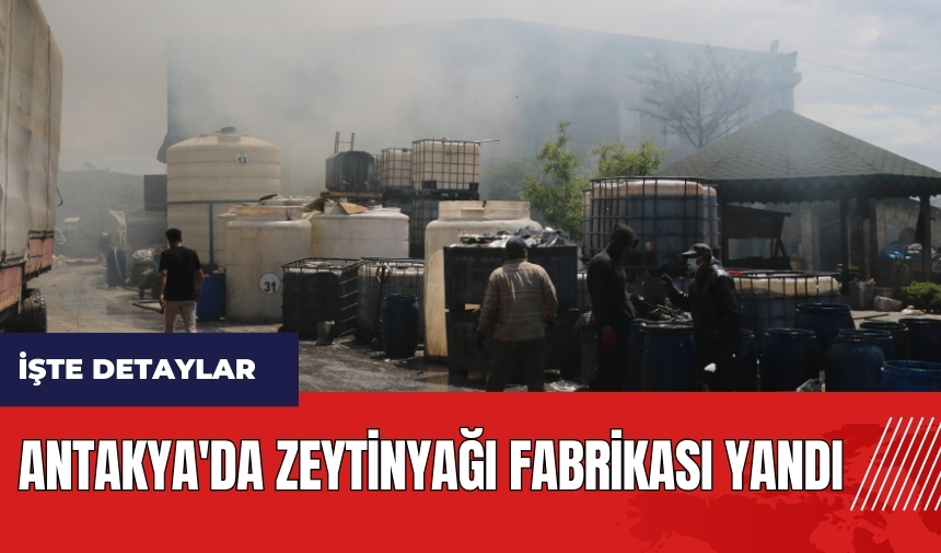 Hatay Antakya'da zeytinyağı fabrikası yandı