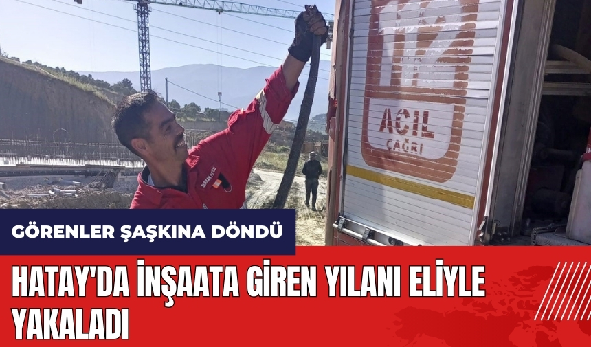 Hatay'da inşaata giren yılanı eliyle yakaladı