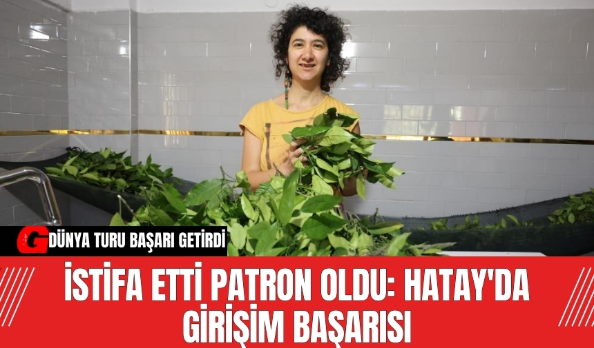 İstifa etti patron oldu: Hatay'da girişim başarısı