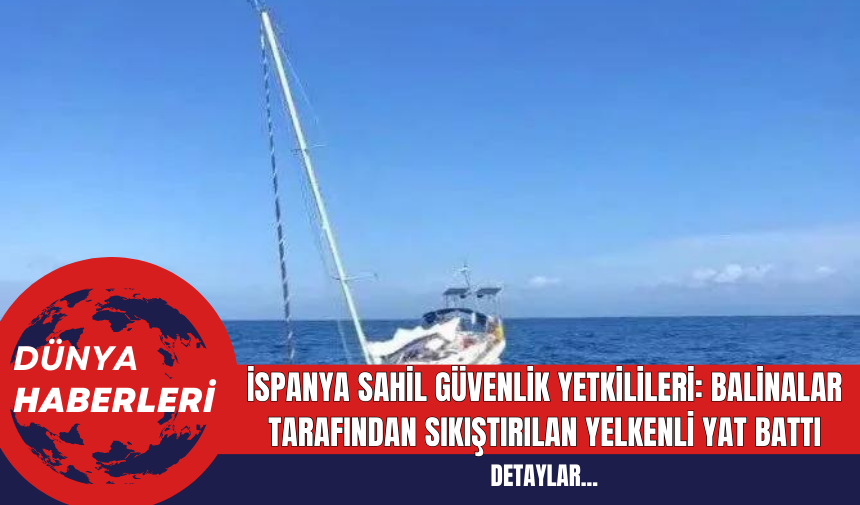 İspanya Sahil Güvenlik Yetkilileri: Balinalar Tarafından Sıkıştırılan Yelkenli Yat Battı