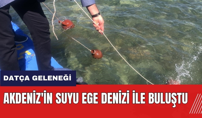 Knidoslulardan günümüze Datça geleneği! Akdeniz'in suyu Ege Denizi ile buluştu