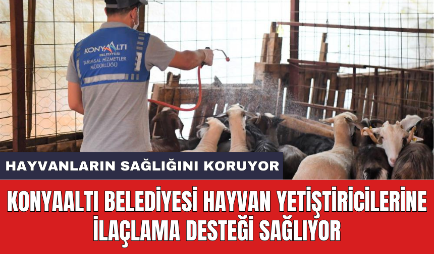 Konyaaltı Belediyesi hayvan yetiştiricilerine ilaçlama desteği sağlıyor