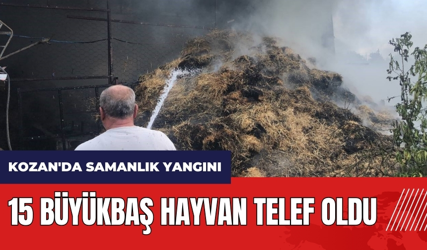 Adana Kozan'da samanlık yangını! 15 büyükbaş hayvan telef oldu