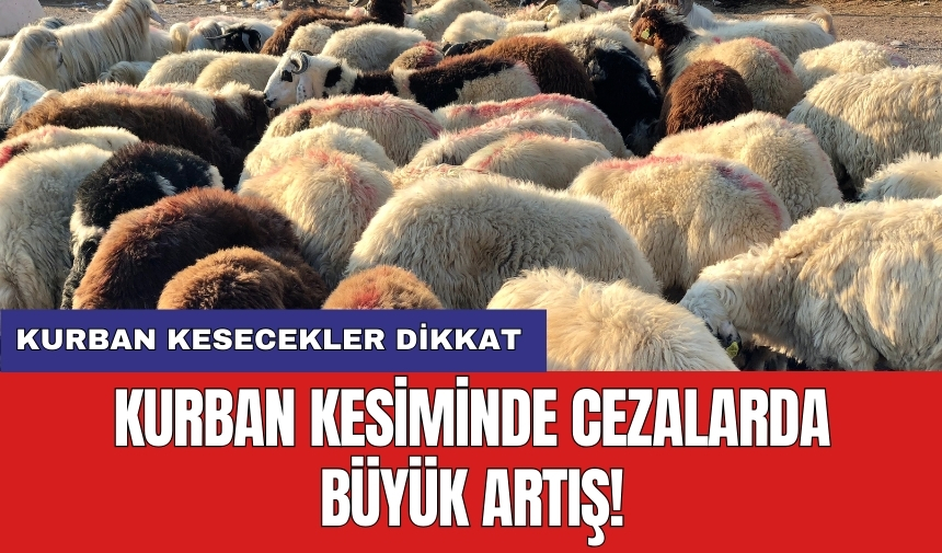 Kurban kesiminde cezalarda büyük artış!