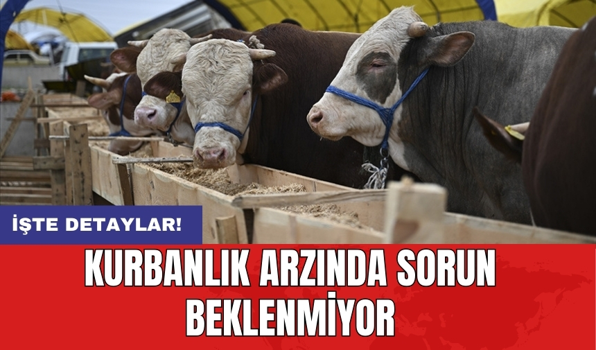 Kurbanlık arzında sorun beklenmiyor