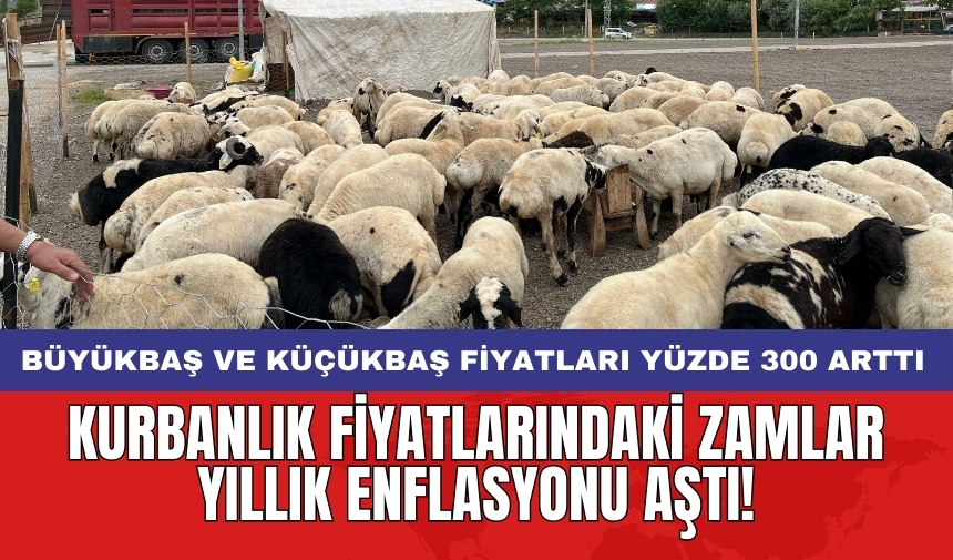 Kurbanlık fiyatlarındaki zamlar yıllık enflasyonu aştı! Kurban fiyatları yüzde 300 arttı