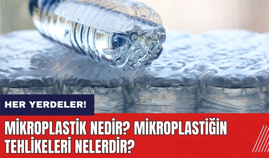 Mikroplastik nedir? Mikroplastiğin tehlikeleri nelerdir?