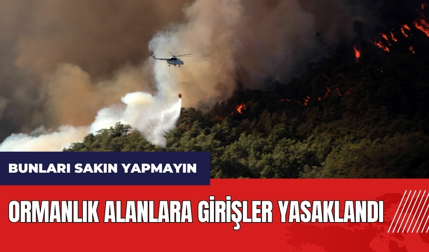 Muğla'da ormanlık alanlara girişler yasaklandı! Bunları sakın yapmayın