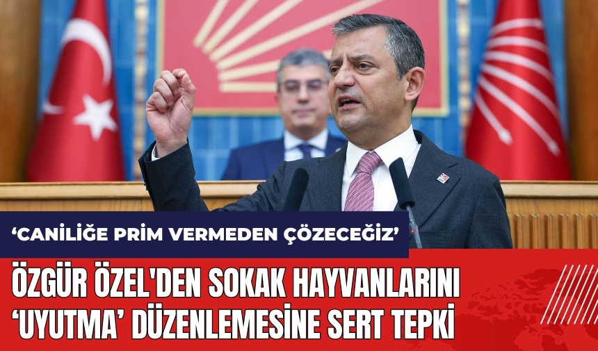 Özgür Özel'den sokak hayvanları düzenlemesine sert tepki: Caniliğe prim vermeden çözeceğiz