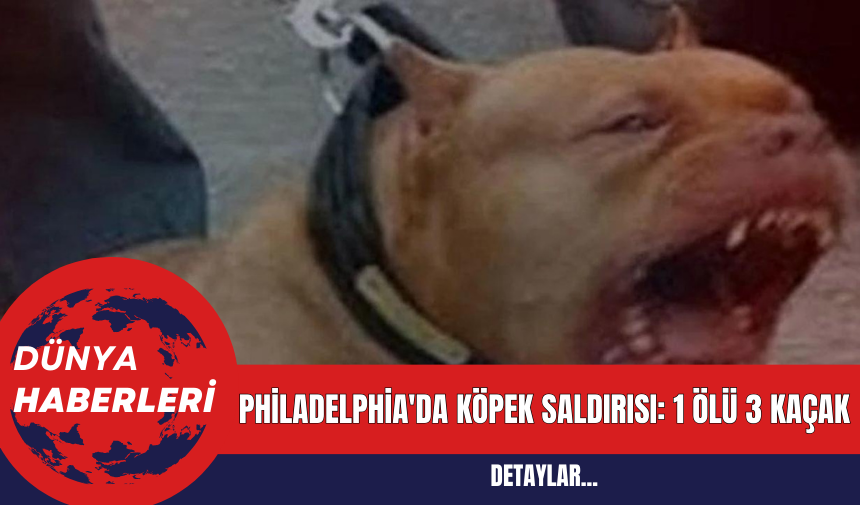 Philadelphia'da Köpek Saldırısı: 1 Ölü 3 Kaçak