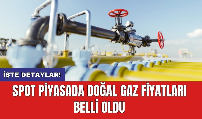 Spot piyasada doğal gaz fiyatları belli oldu