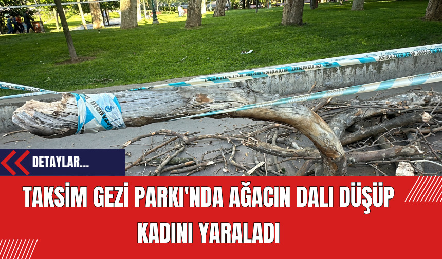 Taksim Gezi Parkı'nda Ağacın Dalı Düşüp Kadını Yaraladı