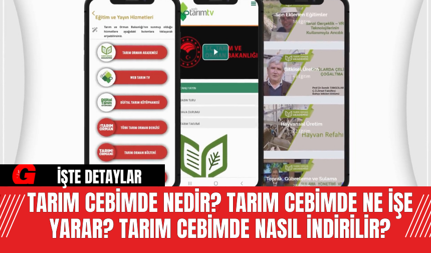 Tarım Cebimde Nedir? Tarım Cebimde Ne İşe Yarar? Tarım Cebimde Nasıl İndirilir?