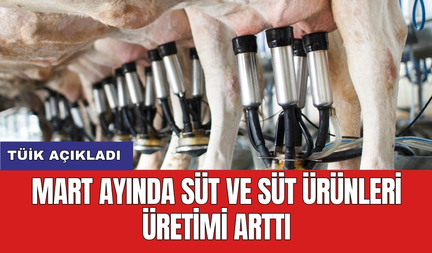 TÜİK açıkladı: Mart ayında süt ve süt ürünleri üretimi arttı