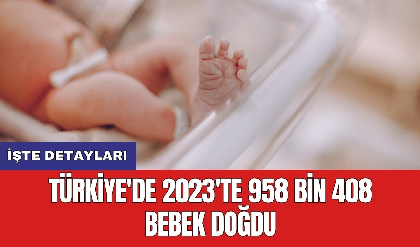 Türkiye'de 2023'te 958 bin 408 bebek doğdu