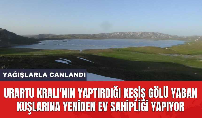 Urartu Kralı'nın yaptırdığı Keşiş Gölü yaban kuşlarına yeniden ev sahipliği yapıyor