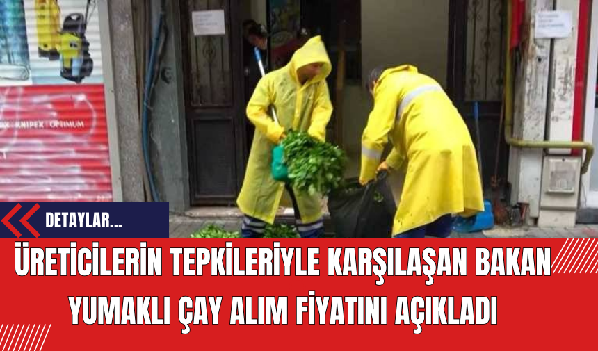 Üreticilerin Tepkileriyle Karşılaşan Bakan Yumaklı Çay Alım Fiyatını Açıkladı