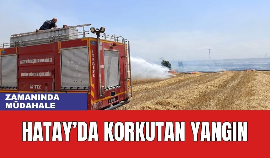 Reyhanlı'da Korkutan Yangın