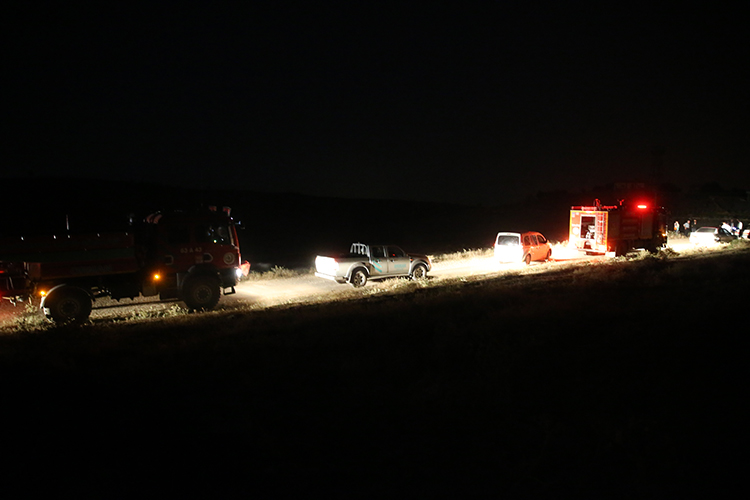 Diyarbakır ve Mardin'de anız yangını: 5 ölü 44 yaralı