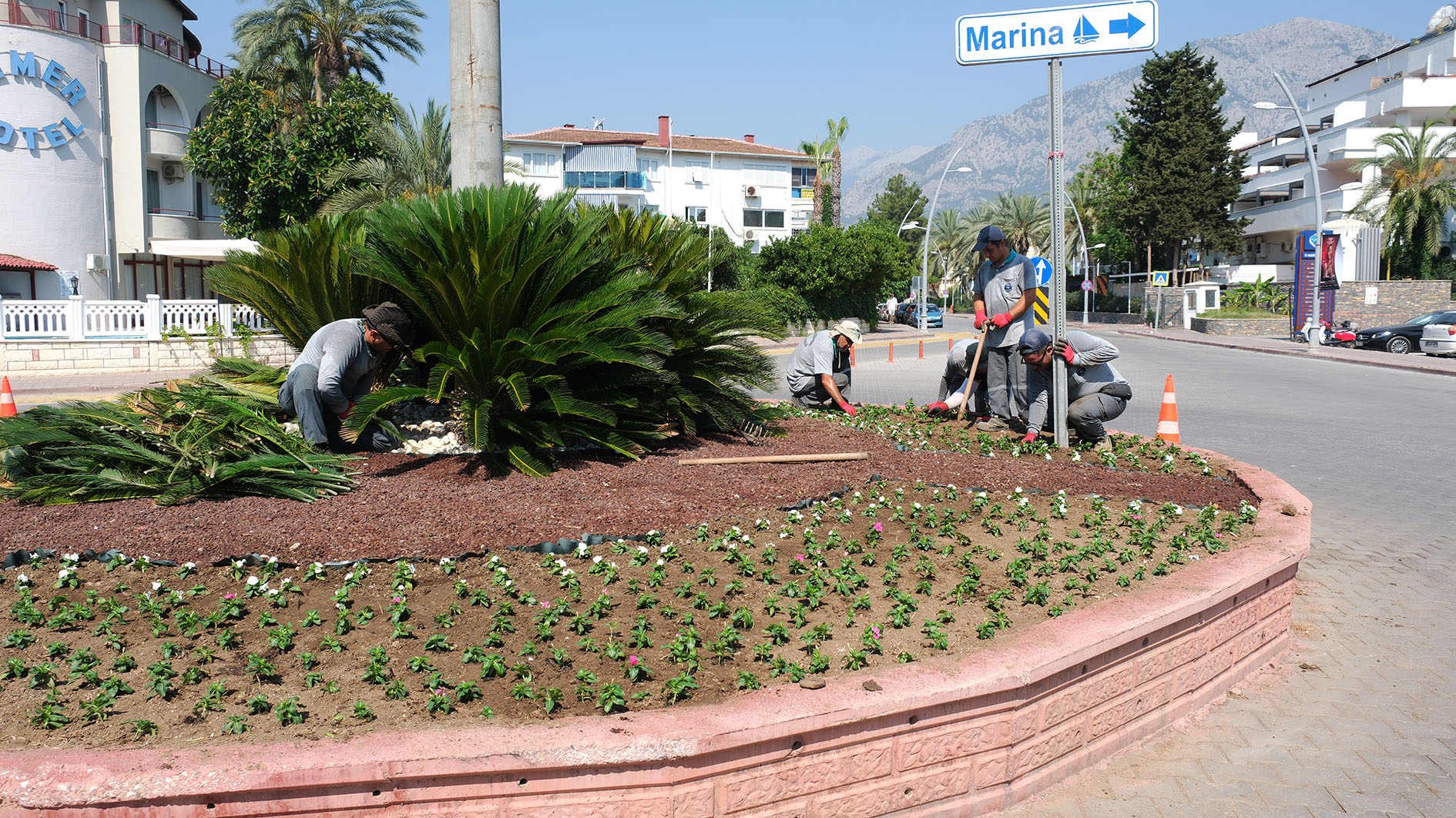 Kemer Belediyesi kavşakları çiçeklerle donattı