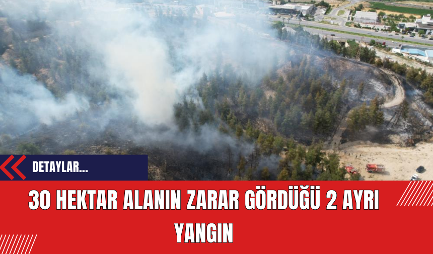 Denizli'de Pamukkale ilçesinde kontrol altına alınan orman yangınlarında 3 kişi gözaltına alındı