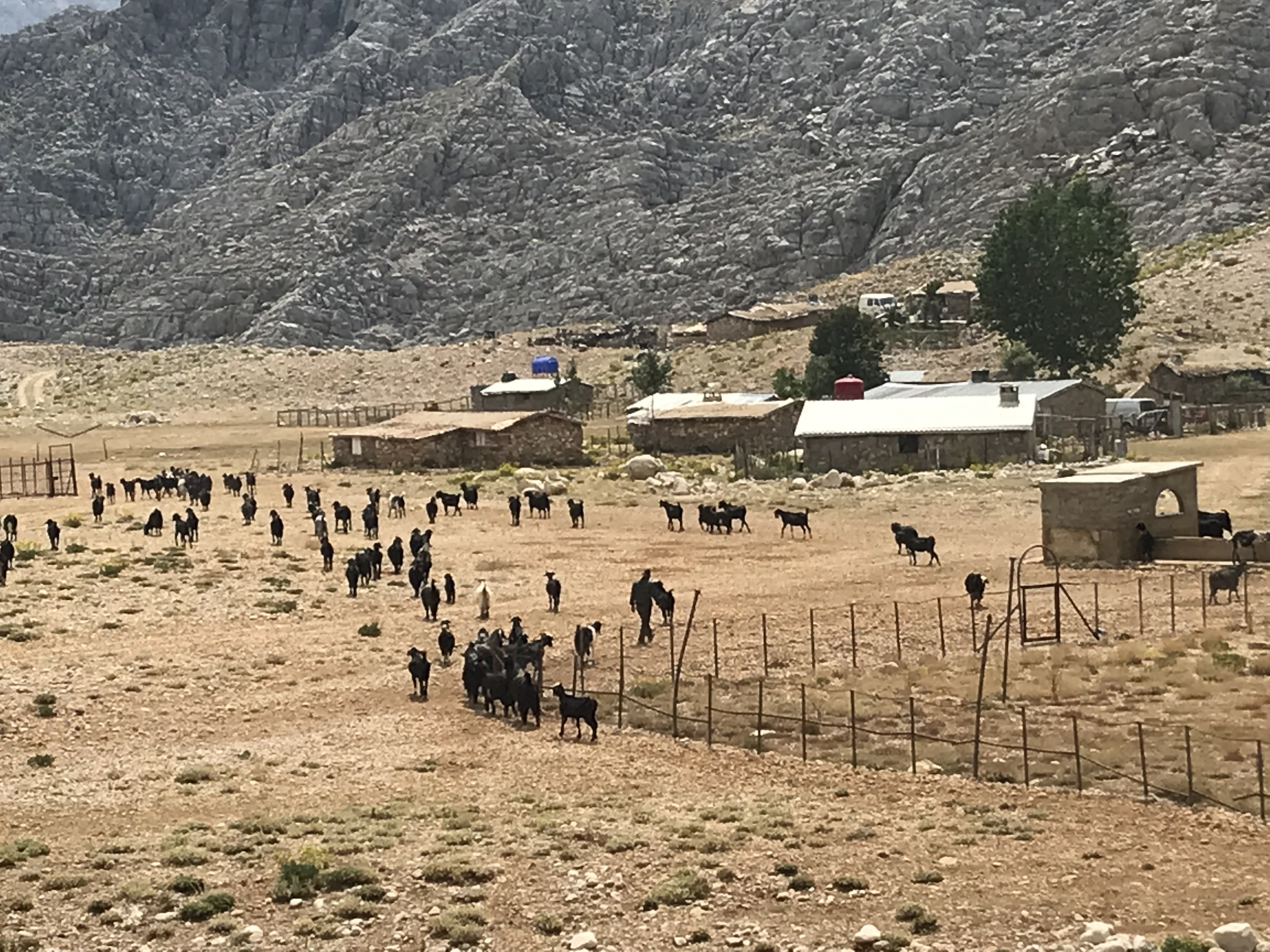 Antalya'da yörükler yaz mevsimini yaylalarda geçirmeye hazırlanıyor