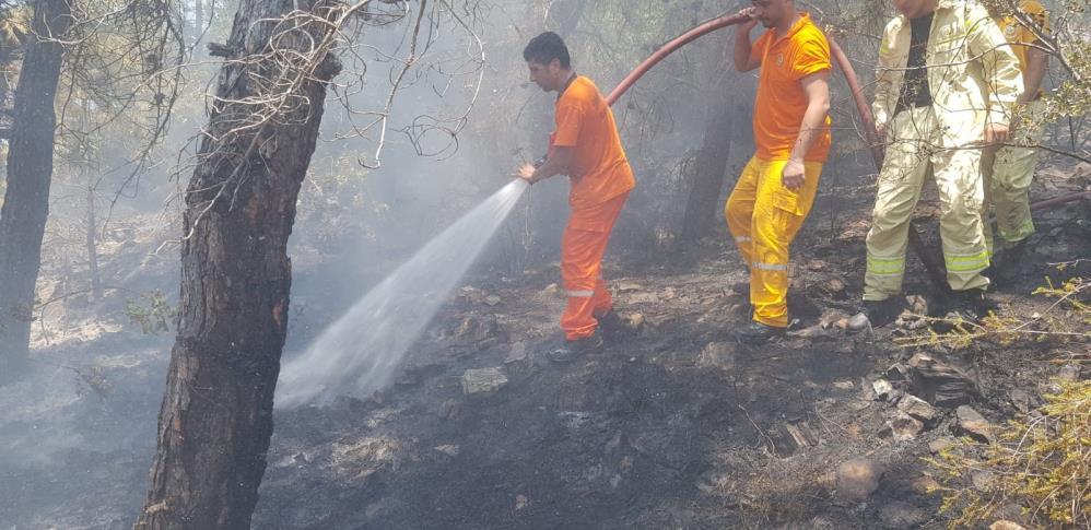 Alanya'da yangın korkusu yaşandı: Hızlı müdahaleyle facia önlendi