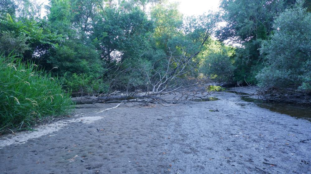 Edirne'de kuraklık felaketi: Tunca Nehri tamamen kurudu