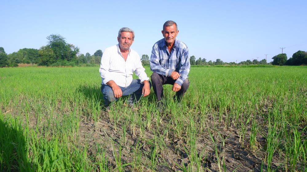 Edirne'de kuraklık felaketi: Tunca Nehri tamamen kurudu