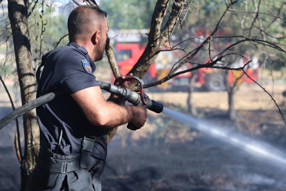 Elazığ'da 73 yangına müdahale: 4 yaralı yüzlerce dönüm arazi kül oldu