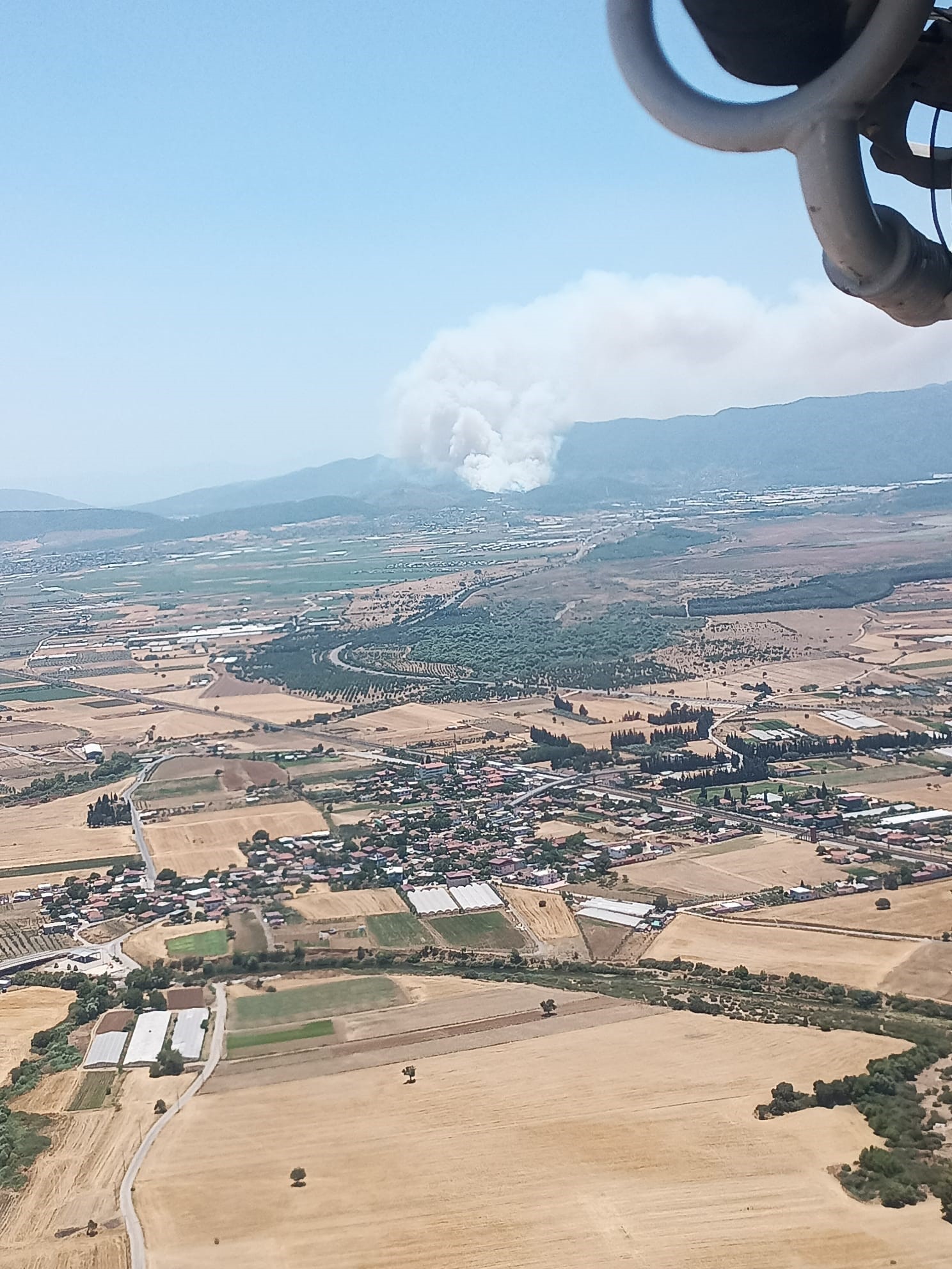 İzmir'de orman yangını: Uçaklar ve helikopterler bölgede