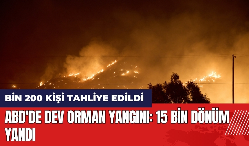 ABD'de dev orman yangını: 15 bin dönüm yandı! Bin 200 kişi tahliye edildi