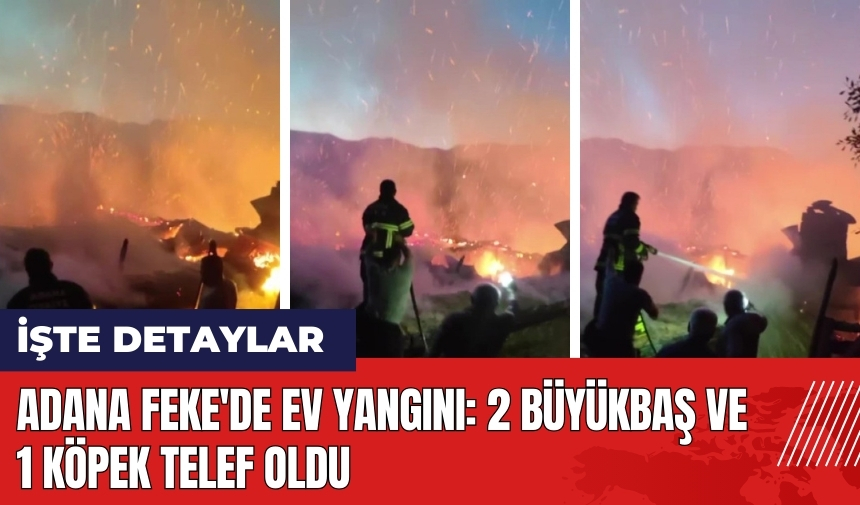 Adana Feke'de ev yangını: 2 büyükbaş ve 1 köpek telef oldu