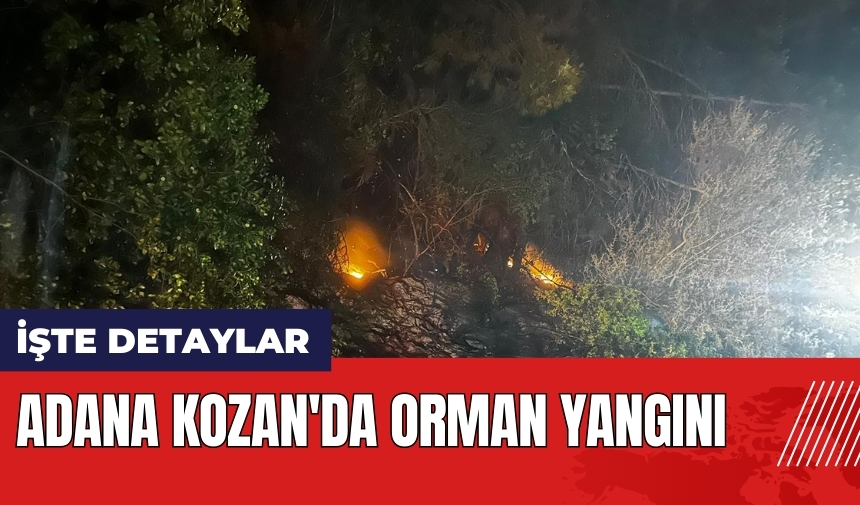 Adana Kozan'da orman yangını