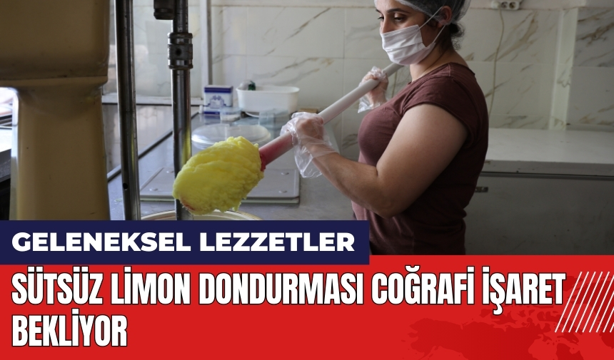 Adana Kozan'da sütsüz limon dondurması coğrafi işaret bekliyor